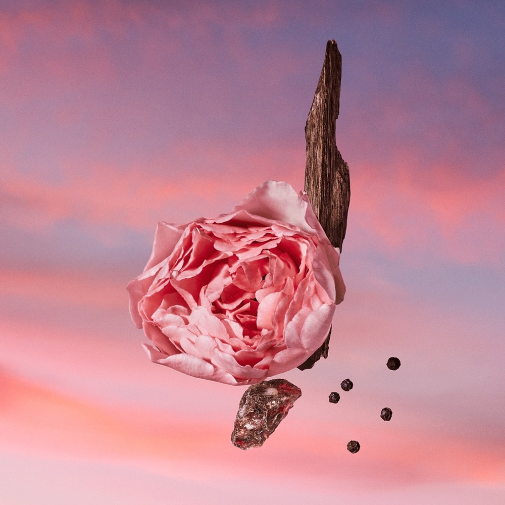 LOUIS VUITTON “Les Sables Roses” - Picture 5 of 7